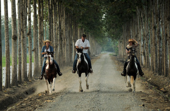 Hacienda La Danesa photo 3